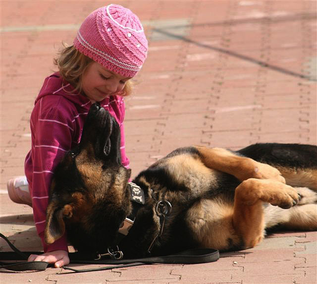 Childern and Protection Dogs, CCPD